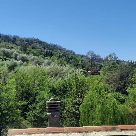 Vecchio Mulino Fontona Ortensia Chiesanuova  Exteriér fotografie