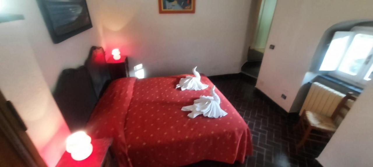 Vecchio Mulino Fontona Ortensia Chiesanuova  Exteriér fotografie